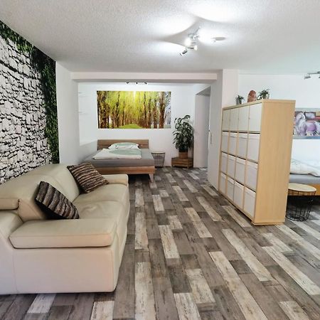 Ferienwohnung - Appartement "Painted Horse" Im Herzen Des Pfaelzer Waldes Reichenbach-Steegen 외부 사진