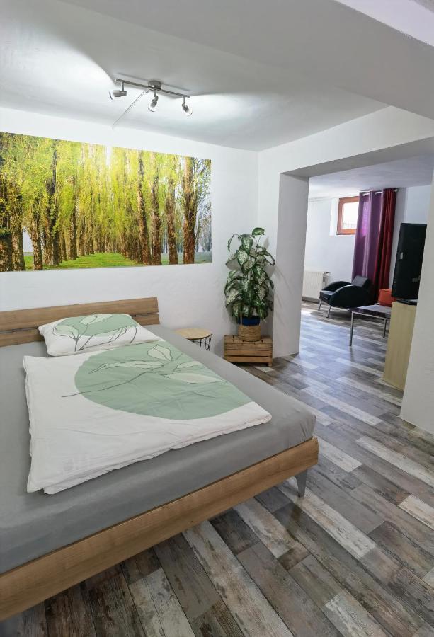 Ferienwohnung - Appartement "Painted Horse" Im Herzen Des Pfaelzer Waldes Reichenbach-Steegen 외부 사진