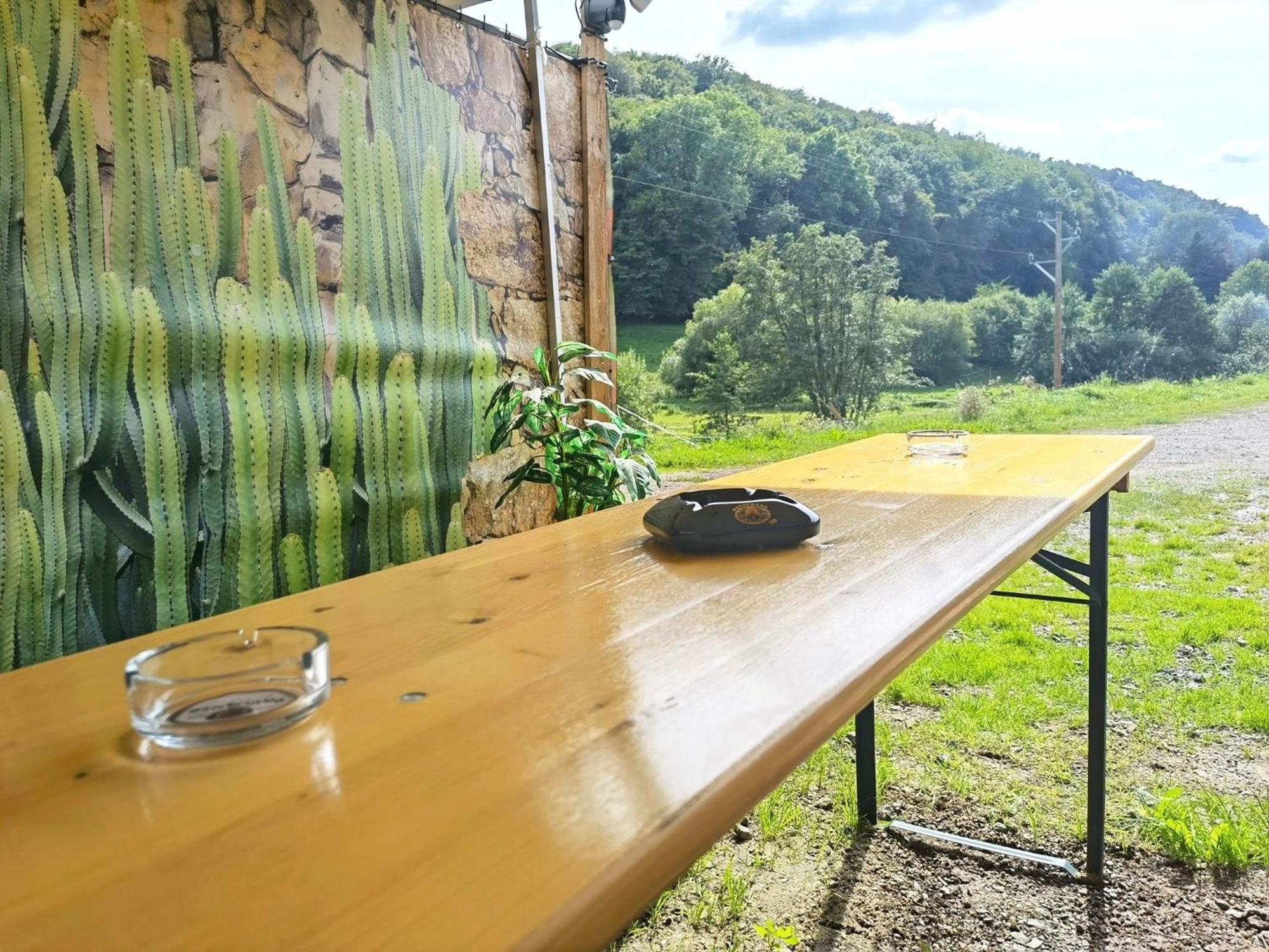 Ferienwohnung - Appartement "Painted Horse" Im Herzen Des Pfaelzer Waldes Reichenbach-Steegen 외부 사진