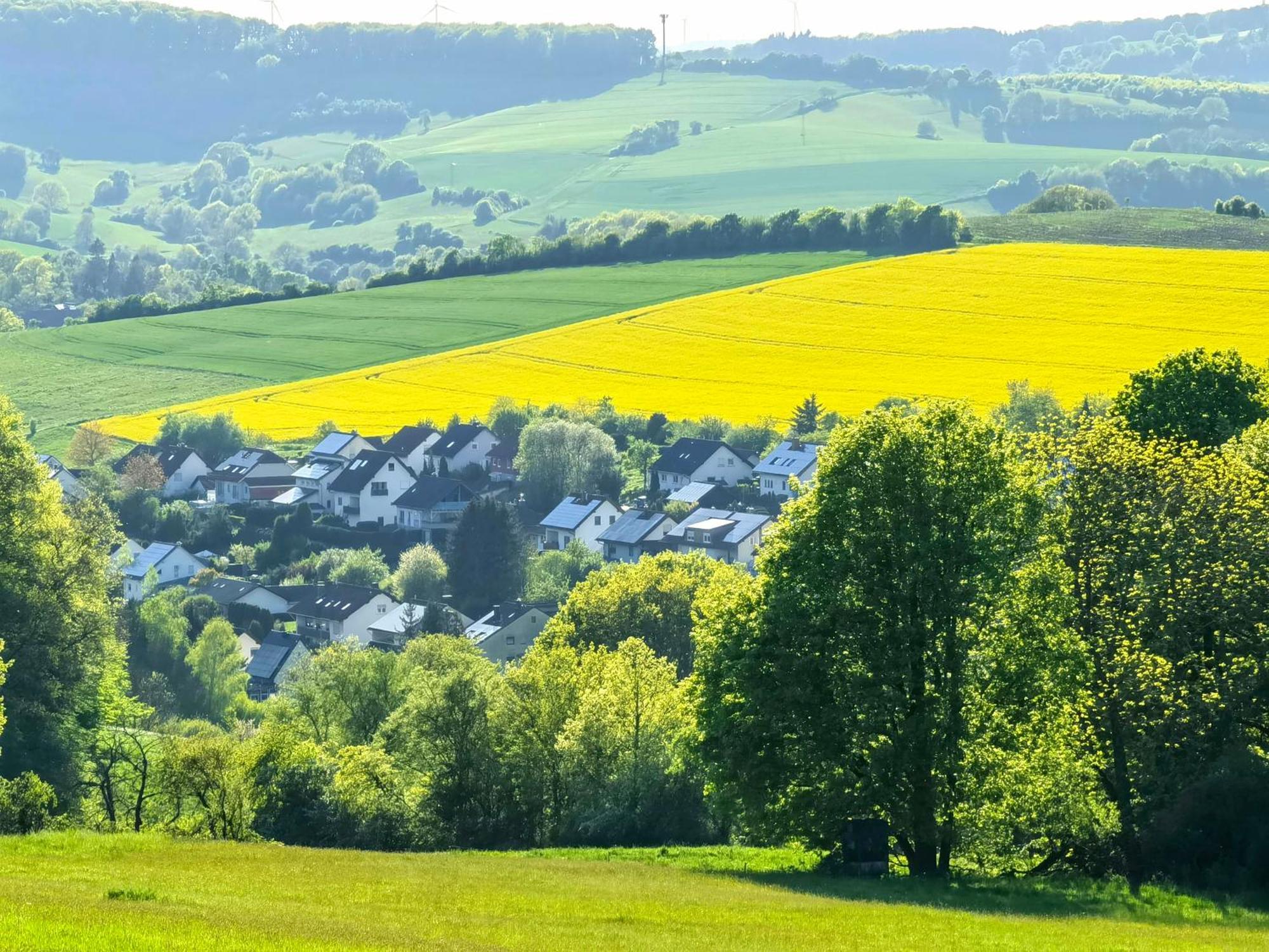 Ferienwohnung - Appartement "Painted Horse" Im Herzen Des Pfaelzer Waldes Reichenbach-Steegen 외부 사진
